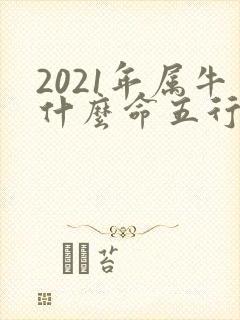2021年属牛什么命五行属性