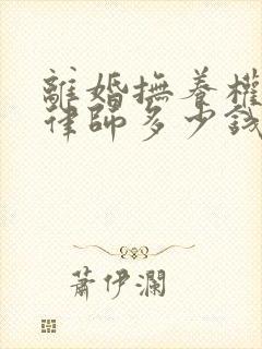 离婚抚养权纠纷律师多少钱