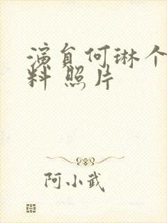 演员何琳个人资料 照片