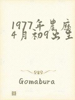 1977年农历4月初9出生的命运如何