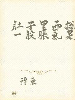 肚子里面总是有一股胀气是怎么回事封面