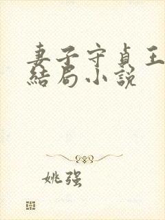 妻子守贞王京贵结局小说封面