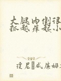 大腿内侧很痒越抓越痒起小疙瘩