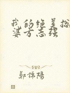 我的绝美总裁老婆方志强