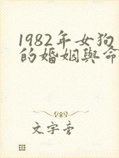 1982年女狗的婚姻与命运封面