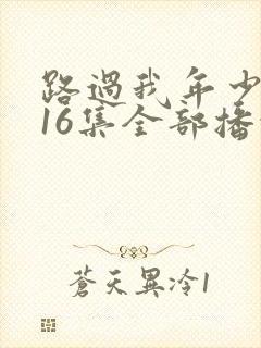 路过我年少时光16集全部播放