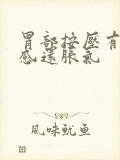 胃部按压有疼痛感还胀气