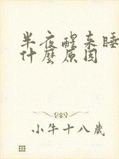 半夜醒来睡不着什么原因