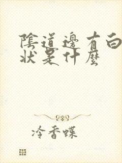 阴道边有白色泥状是什么