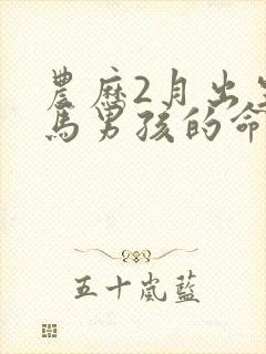 农历2月出生的马男孩的命运封面