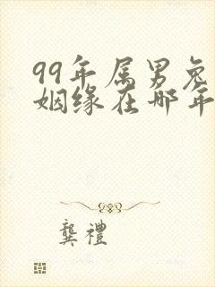 99年属男兔的姻缘在哪年
