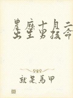 农历十月二十八出生男孩命运封面