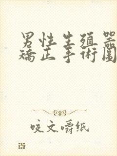 男性生殖器弯曲矫正手术图