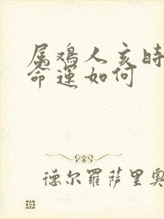 属鸡人亥时出生命运如何