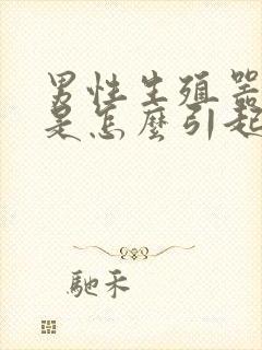 男性生殖器异味是怎么引起的