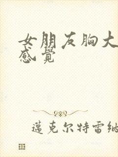 女朋友胸大什么感觉