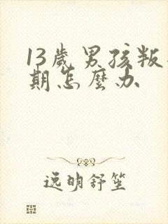 13岁男孩叛逆期怎么办