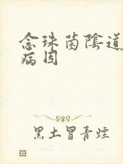 念珠菌阴道发炎病因