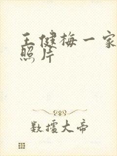 王健梅一家三口照片封面