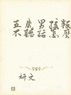 五岁男孩叛逆期不听话怎么办