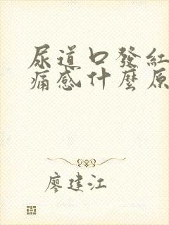 尿道口发红有刺痛感什么原因封面