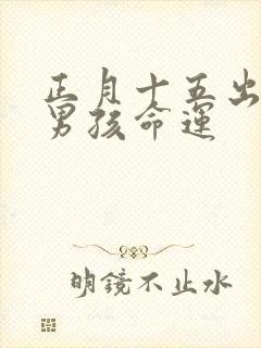 正月十五出生的男孩命运