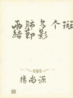 两肺多个斑点小结节影