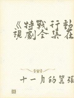 《特战行动》电视剧全集在线观看封面