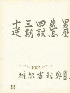 十三四岁男孩叛逆期该怎么管