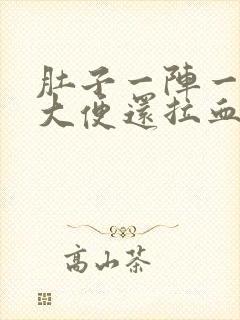 肚子一阵一阵痛大便还拉血