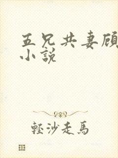 五兄共妻顾心儿小说