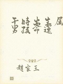 午时出生属牛的男孩命运封面