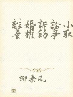 离婚诉讼小孩抚养权的争取封面