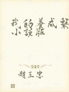 我的养成系女友小说版封面