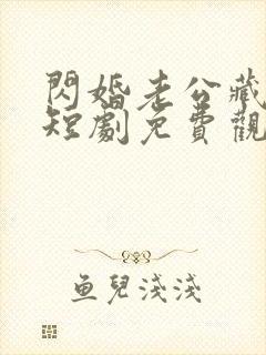 闪婚老公藏不住短剧免费观看