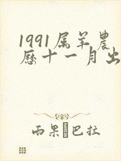 1991属羊农历十一月出生命运