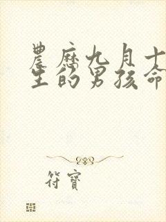 农历九月十八出生的男孩命运