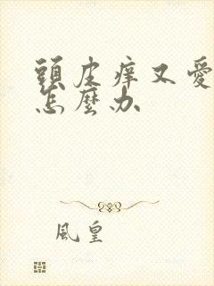 头皮痒又爱出油怎么办