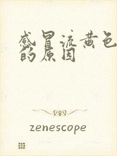 感冒流黄色鼻涕的原因封面