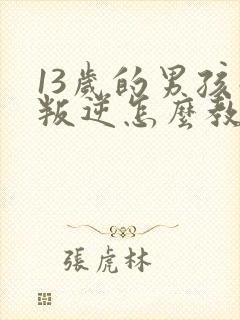 13岁的男孩子叛逆怎么教育好