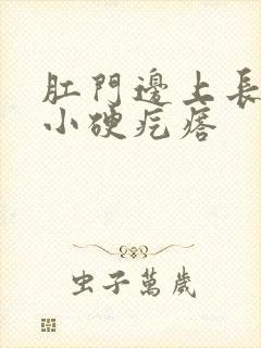 肛门边上长了个小硬疙瘩封面