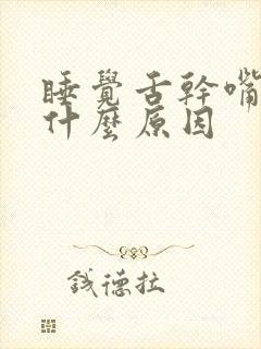 睡觉舌干嘴苦是什么原因