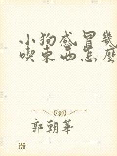 小狗感冒几天不吃东西怎么办