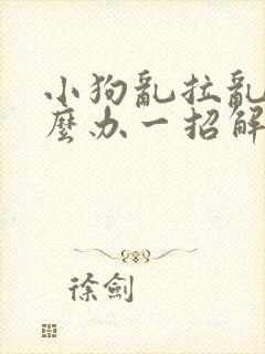 小狗乱拉乱尿怎么办一招解决封面