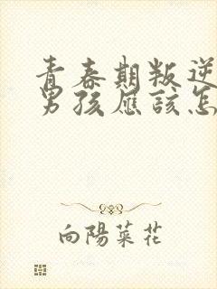 青春期叛逆厌学男孩应该怎么办