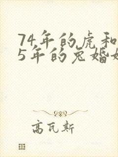 74年的虎和75年的兔婚姻合不合