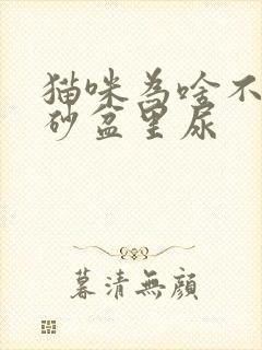 猫咪为啥不在猫砂盆里尿