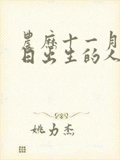 农历十一月十一日出生的人命运