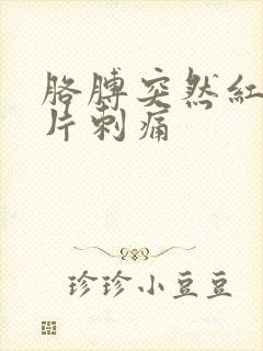 胳膊突然红了一片刺痛封面