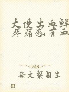 大便出血鲜红无疼痛感有血块